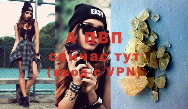 прущие крисы Зеленокумск