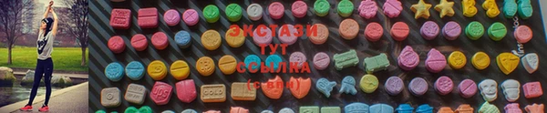 mdpv Горно-Алтайск