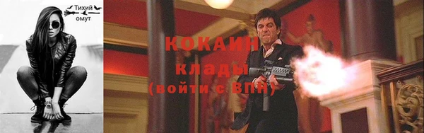 прущие крисы Новозыбков