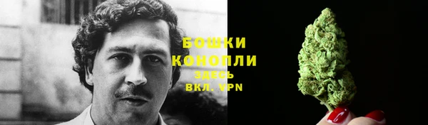 сатива Горнозаводск