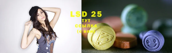 прущие крисы Новозыбков